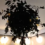 Apartment Glamour Vox - Romantic Cu Jacuzzi Privat In *