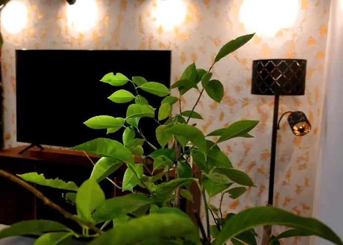 Lägenhet Glamour Vox Private Jacuzzi Cluj-Napoca