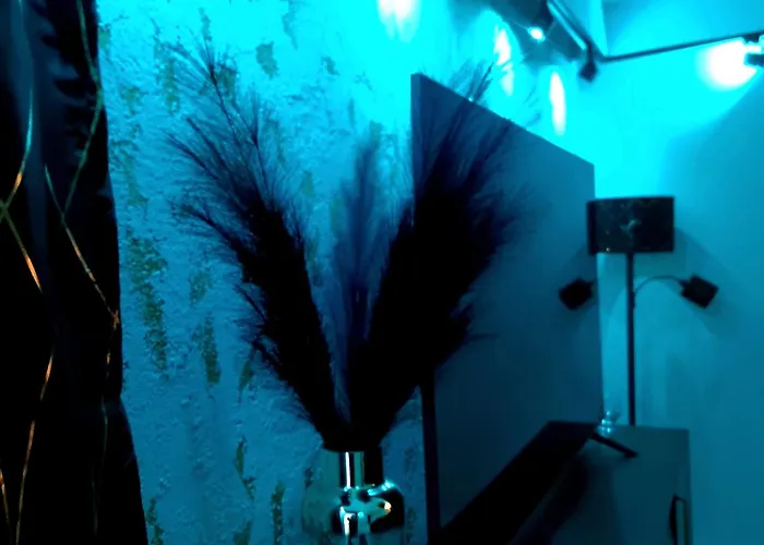 Glamour Vox Private Jacuzzi * Cluj-Napoca